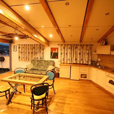 Antique شقة تروغير